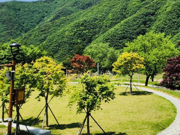 A Trip to Janggye Tourist Site in Okcheon, Near Daejeon