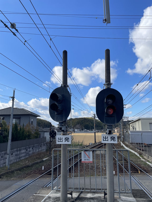 🌸和歌山必體驗｜會微笑的貓咪電車巡禮🐾
