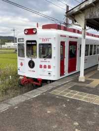 【和歌山半日遊懶人包】貴志站朝聖二代玉站長＋搭乘小玉電車、Tama Museum列車，療癒爆棚的貓咪列車之旅🐾