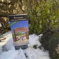 Oak Glen Apple Orchards – Oak Glen, CA