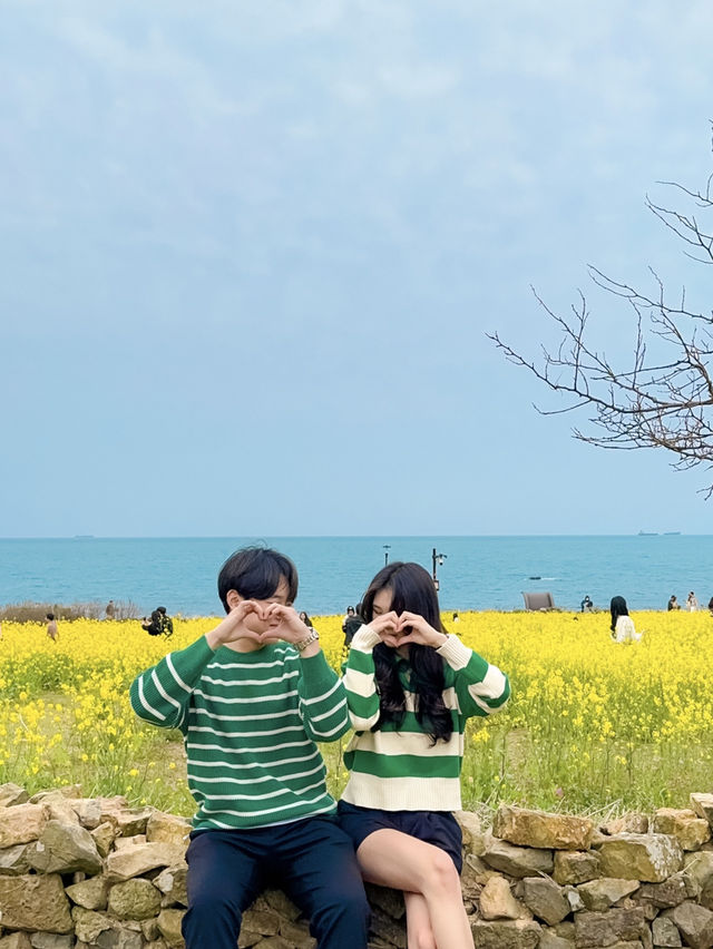 바다와 노란 물결을 한 눈에 담을 수 있는 명소