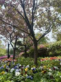 Going to Nami Island by Public Transport 😍