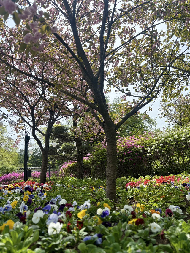Going to Nami Island by Public Transport 😍