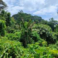 Spring Escape at Hot Spring, Sabah