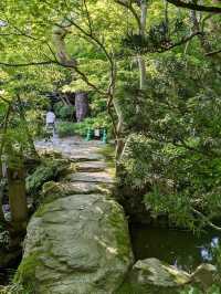 The Wonderful Saito Villa in Niigata
