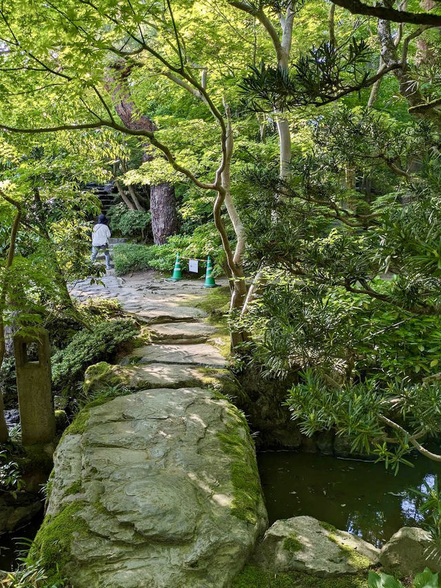 The Wonderful Saito Villa in Niigata