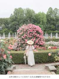 【東京おでかけスポット】神代植物公園バラが見ごろ！公共交通機関で行ける5月〜6月おすすめ