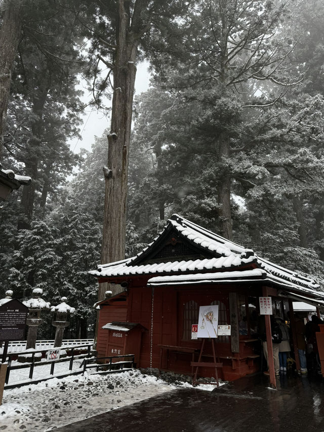[JAPAN]🌲“Nikko” เมืองมรดกโลกกลางขุนเขา 🏔️