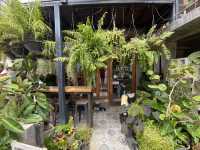 เลอกองเก่า cafe’ de phraeris คาเฟ่ในตึกเก่า
