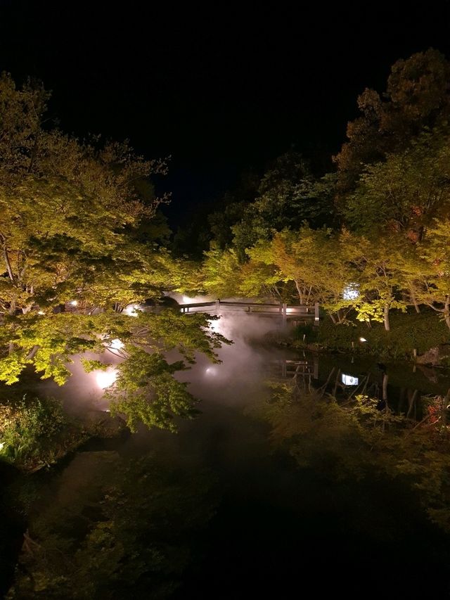 일본에서 빛나는 꽃구경🌷