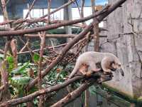 【栃木】動物を近くでみられる那須どうぶつ王国が楽しい！