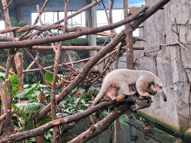 【栃木】動物を近くでみられる那須どうぶつ王国が楽しい！