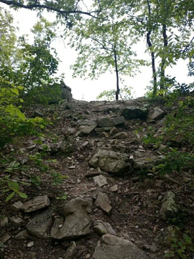 Waterfalls & Woods: Hiking the Walls of Jericho Trail, Alabama