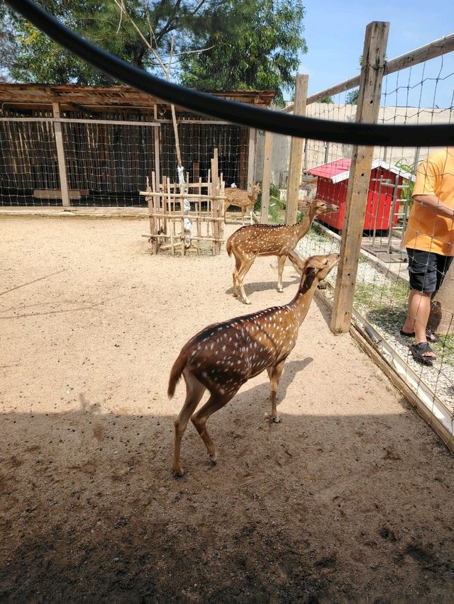 Batam zoo paradise