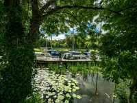 Clonmel – A Scenic Gem in County Tipperary, Ireland