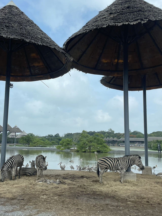 Wildlife experience in Safari World Bangkok