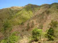The ascent to Mount Pundaquit : Anawangin Trailblazer's tale