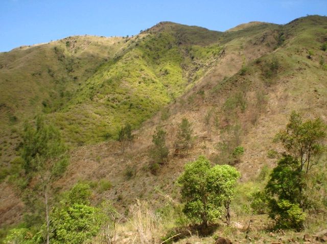 The ascent to Mount Pundaquit : Anawangin Trailblazer's tale