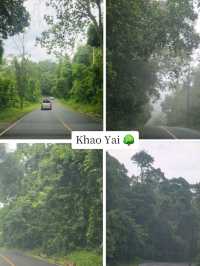 KhaoYai 🌳🍃