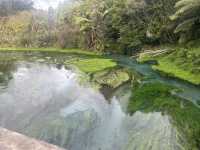 Blue Spring 