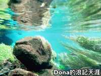 📍紐西蘭北島。Blue Spring ｜無敵清澈的泉水把煩惱沖淡