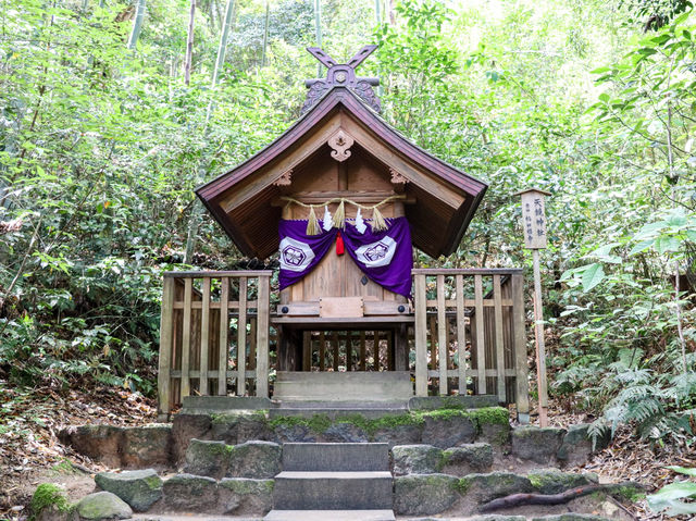 【島根県】 鏡の池で縁占い  縁結びの大親神『八重垣神社』⛩️
