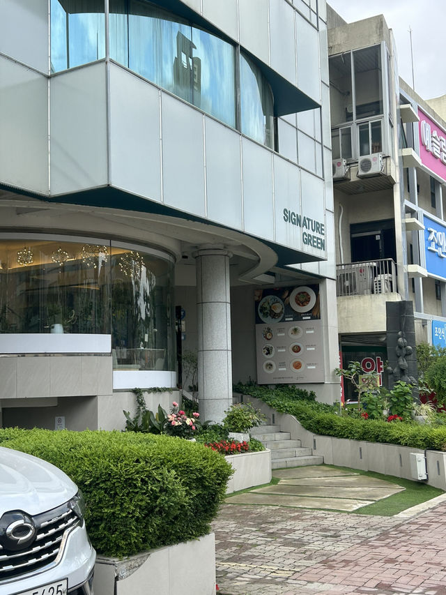 🌱 식물 속에 파묻힌 시간, 시그니처 그린 