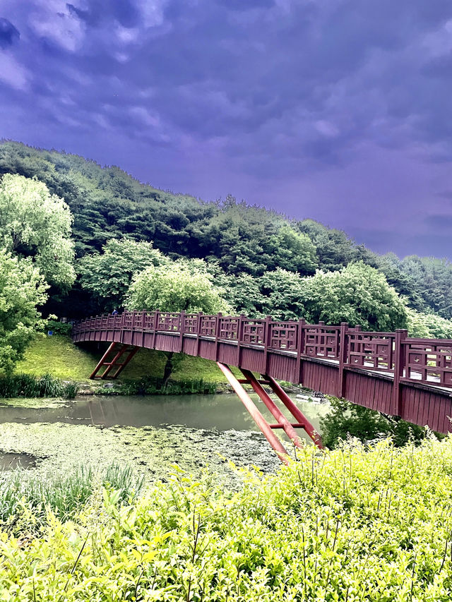 순천에서 사랑스러운 여름정원을 만끽해 보세요 - 순천조례호수공원