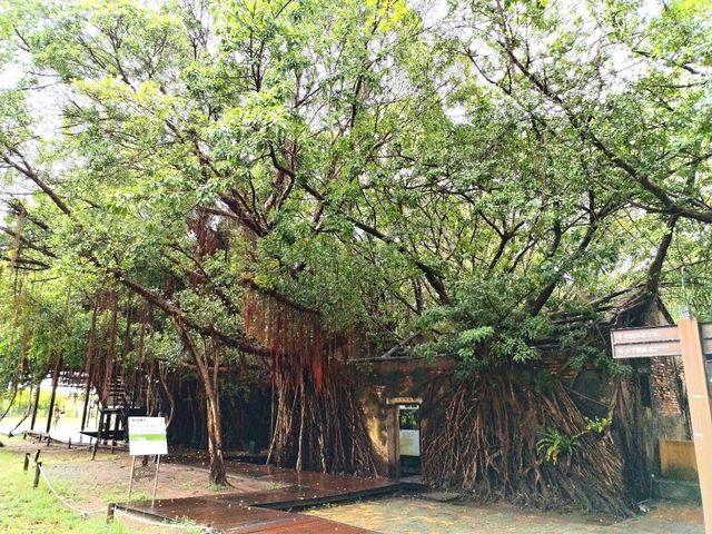 Anping Tree House