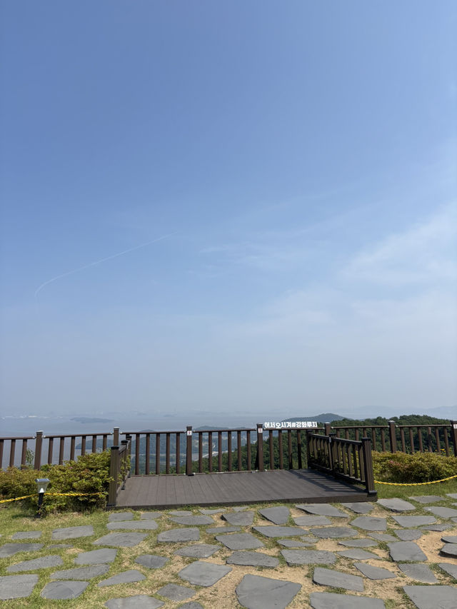 인천에서 즐길 수 있는 강화도 루지 여행🥰