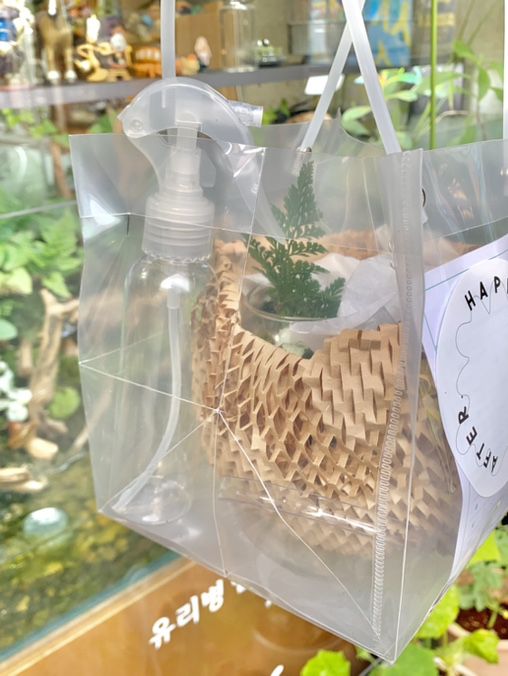 🌿 종로 테라리움 원데이 클래스 후기 🌿