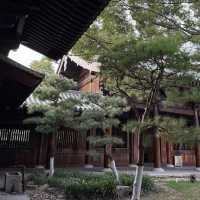 Baoshan Temple — Shanghai’s hidden tranquil sanctuary, a peaceful escape from the crowds ✨