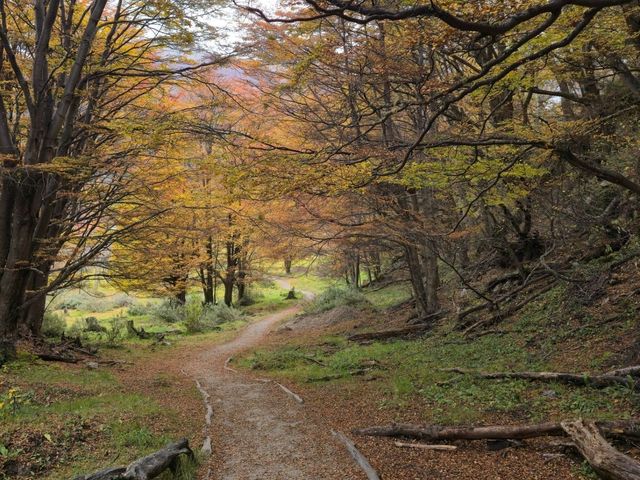 해외여행 아르헨티나 우수아이아 Roca Lake Viewpoint