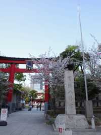 ⛩️**【富岡八幡宮】 江戸の粋とパワーが息づく、深川の誇り** 