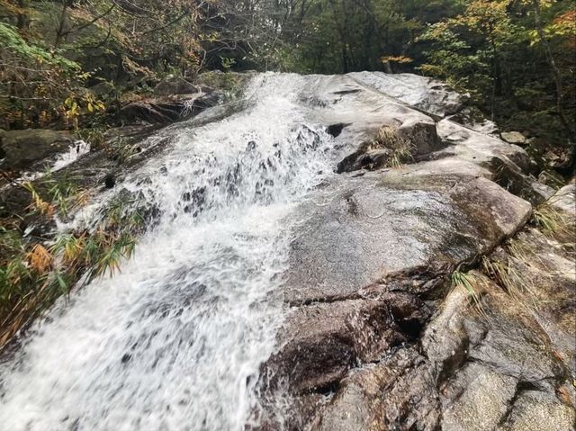 Nature Escape