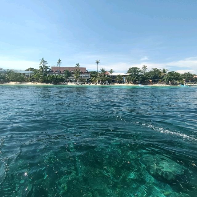 媽媽島玻璃水的島長尾鯊的家