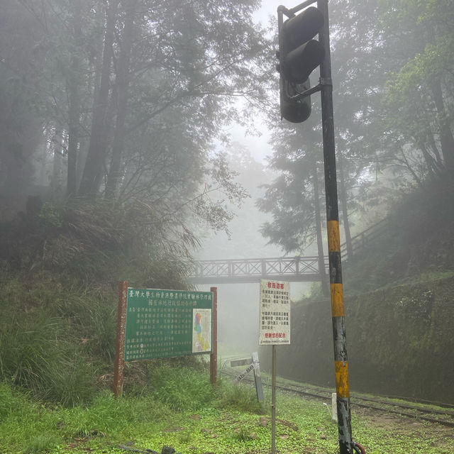 🚶‍♂️阿里山眠月線健行｜沼平車站 ⇄ 石猴車站