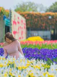 Soaking up the sunshine and the Beautiful Blooms