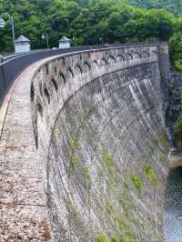 Eifel National Park – Germany’s Living Wilderness