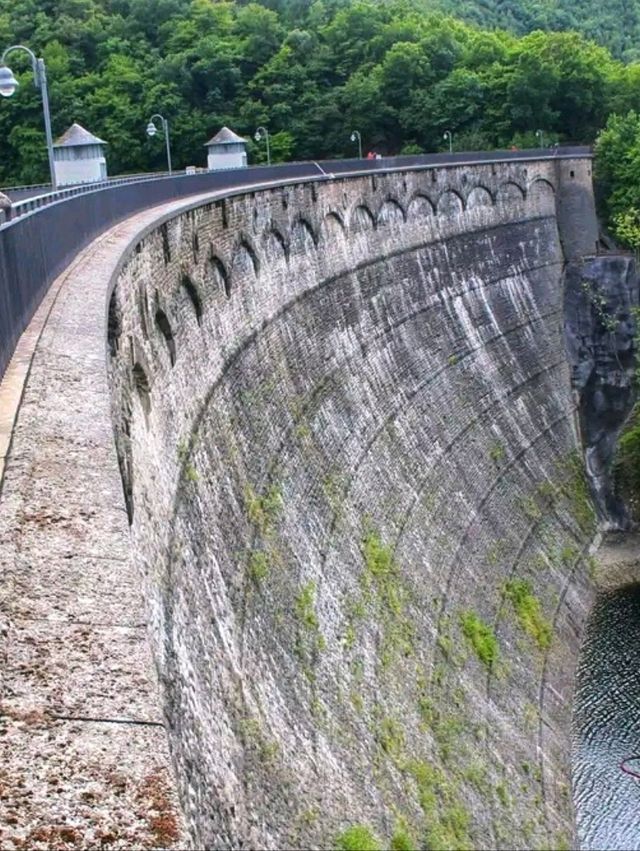 Eifel National Park – Germany’s Living Wilderness