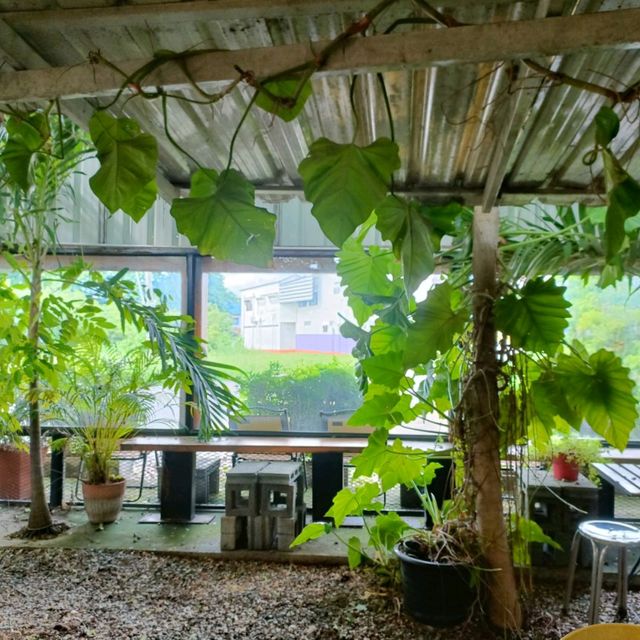 AB about coffee and garden at Lopburi 