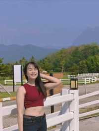 ISBJORN Chiang Dao คาเฟ่ที่สายถ่ายรูปห้ามพลาด