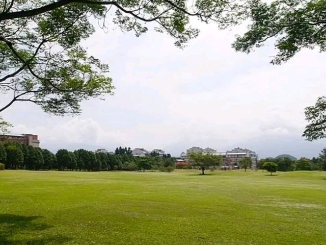 暨南校園內的步道上微風輕拂、櫻花隨風搖曳彷彿置身歐洲莊園般浪漫