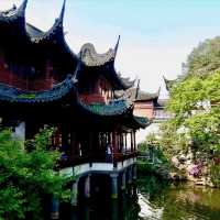 Lost in the Luminous Heart of China: Shanghai!🏙️