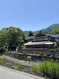 그림같이 아름답고 🧘‍♂️평온한 힐링을 즐기기에 좋은 오이타현 유후인 여행🏞️
