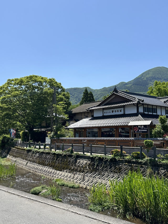 그림같이 아름답고 🧘‍♂️평온한 힐링을 즐기기에 좋은 오이타현 유후인 여행🏞️