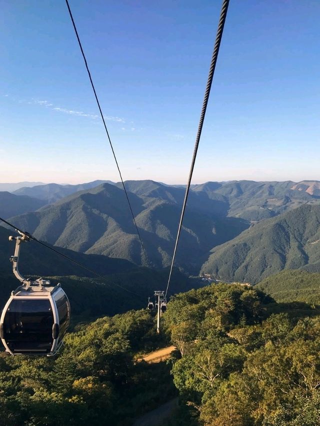 Off the Radar and Into the Trees