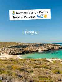 🏝️ Rottnest Island – Perth’s Tropical Paradise Just a Ferry Away! 🐾🌊☀️