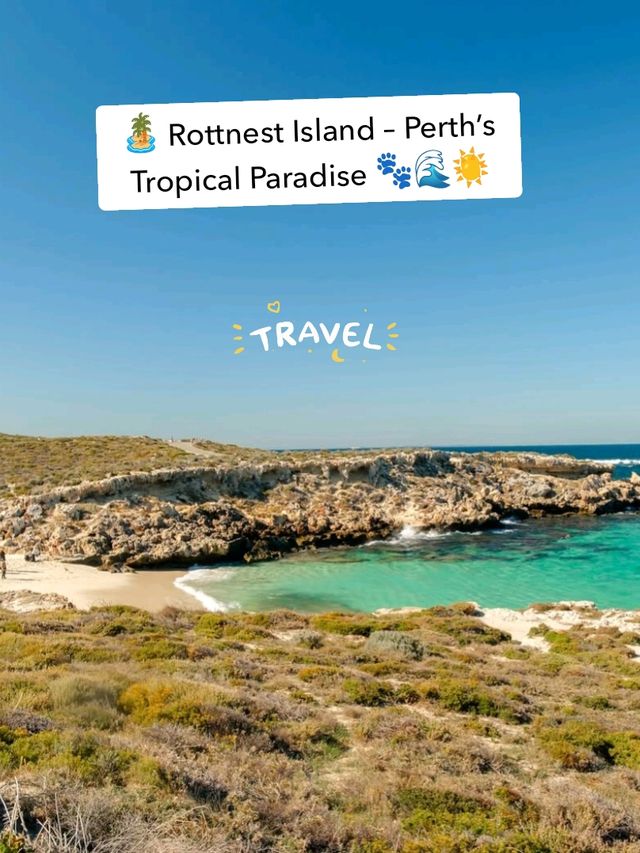 🏝️ Rottnest Island – Perth’s Tropical Paradise Just a Ferry Away! 🐾🌊☀️
