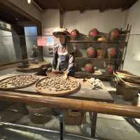 深圳博物館之野生動物展